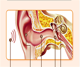 全球五分之一的人听力受损，快来学习，怎么保护你的听力