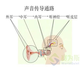 噪声职业健康检查中的小问题