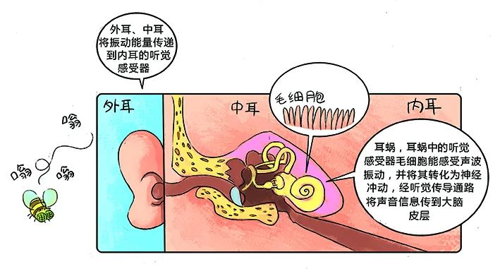 环保科普丨环境噪声污染防治 知识问答2