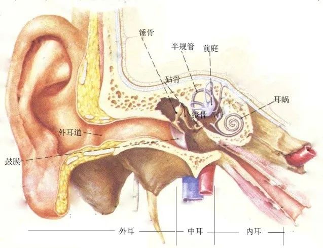 环保科普丨环境噪声污染防治 知识问答2