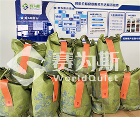 赛为斯一年一岁，粽情飘香