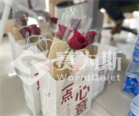 她的声波，让世界更安静——致每一份温柔而坚韧的力量