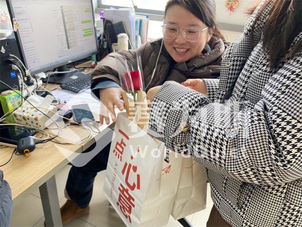 她的声波，让世界更安静——致每一份温柔而坚韧的力量
