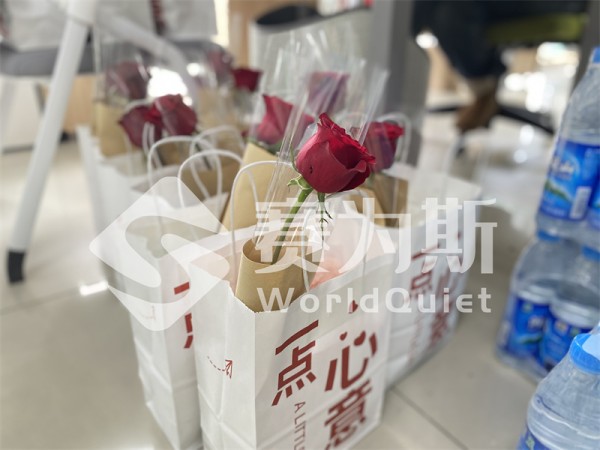 她的声波，让世界更安静——致每一份温柔而坚韧的力量