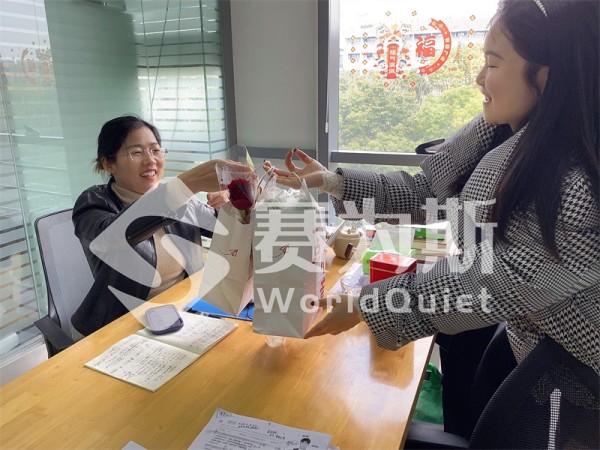 她的声波，让世界更安静——致每一份温柔而坚韧的力量