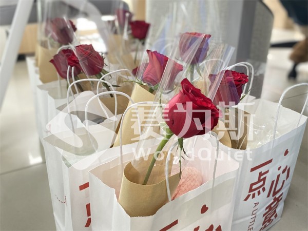 她的声波，让世界更安静——致每一份温柔而坚韧的力量
