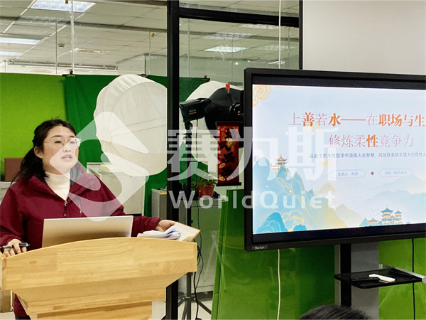 2025赛为斯第一季度工作总结
