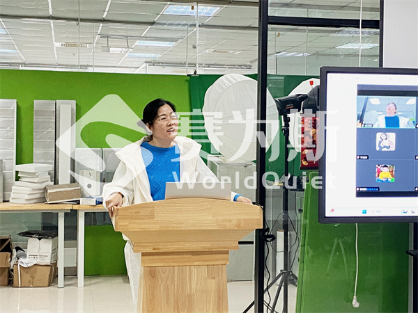 2025赛为斯第一季度工作总结