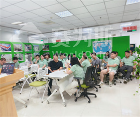 2025赛为斯第二季度工作总结