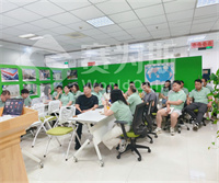 2025赛为斯第二季度工作总结