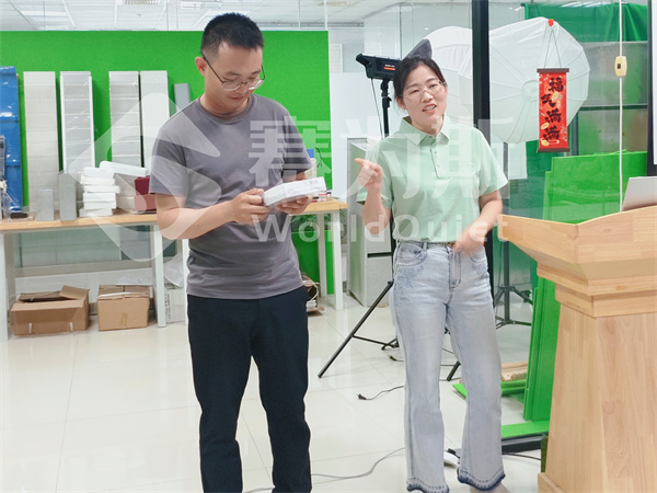 2025赛为斯第二季度工作总结