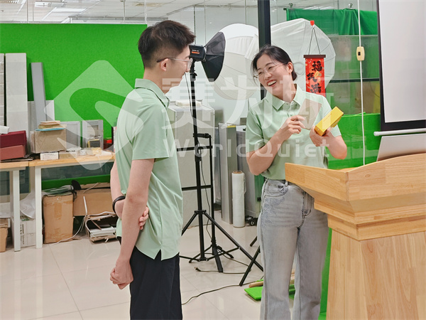 2025赛为斯第二季度工作总结