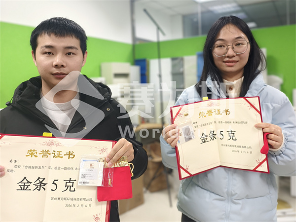 赛为斯2025年终总结暨表彰大会 赛为斯2025年终总结暨表彰大会