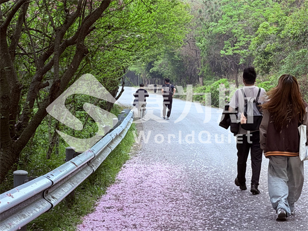 步步旺，节节高 | 赛为斯2026春日团建：复盘、颁奖、登旺山