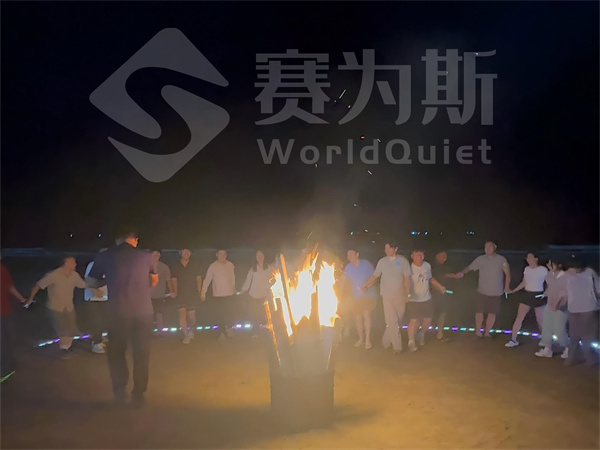 逐浪山海,聚力同行|赛为斯噪声治理舟山团建圆满收官! 逐浪山海,聚力同行|赛为斯噪声治理舟山团建圆满收官!